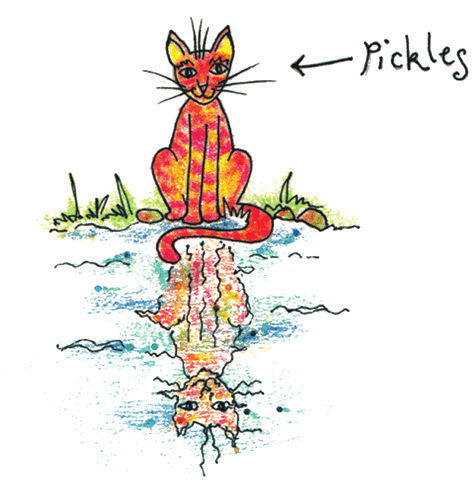 Pickles the cat